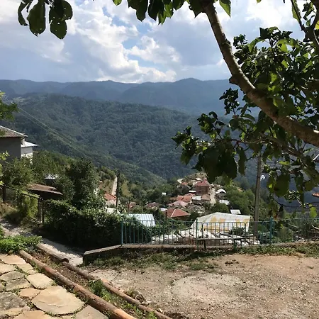 Boutique House Дом отдыха Девин