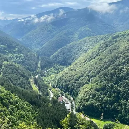 Boutique House بيت للعطل