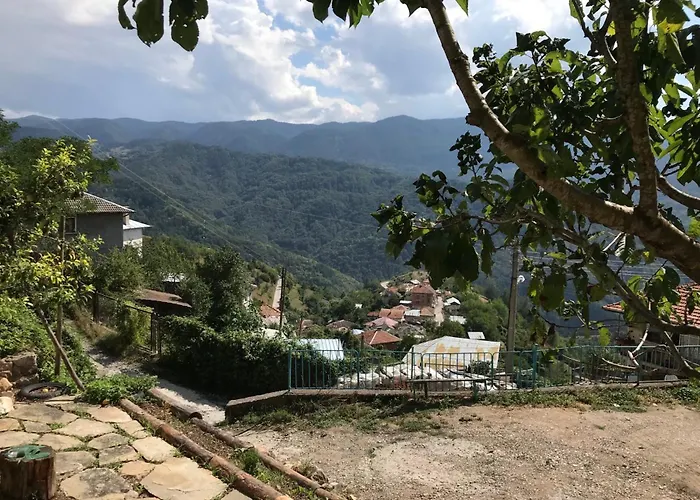 Boutique House Holiday home Devin