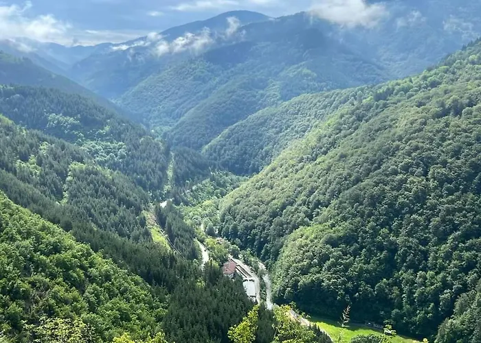 Boutique House Holiday home